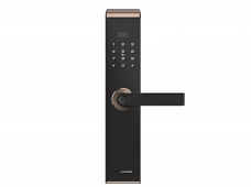 Zigbee 德施曼指紋鎖家用防盜門智能門鎖密碼鎖刷卡電子鎖 G5（不含鎖體，鎖體需另拍）